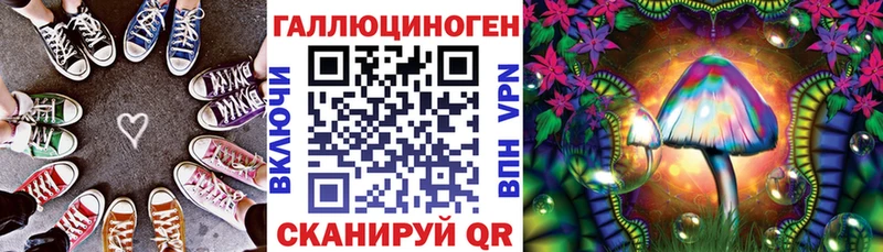 Купить где  Старый Оскол  Псилоцибиновые грибы мицелий 